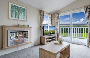Living Room 2  